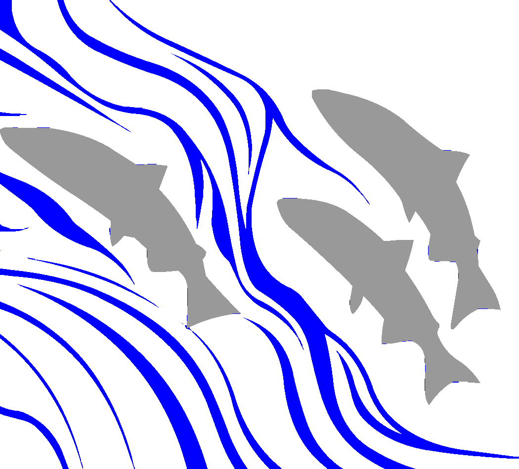 Revtrad
          Transparent Logo